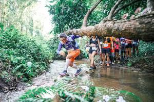 BIB: 
                            <button type="button" onclick="openModal(25472816)" class="btn btn-primary btn-sm float-right btn-popup" data-toggle="modal" data-target=".modal-high-quality">
                        <i class="fas fa-shopping-cart"></i> Add to Cart
                    </button>
                                            <button type="button" onclick="isThisMe(25472816, true)" class="btn btn-success btn-sm float-right btn-popup btn-isme hidden" data-toggle="tooltip" data-placement="bottom" title="นี่คือรูปของคุณใช่ไหม คลิกที่นี่เพื่อเอาเข้าอัลบั้ม">
                        <i class="fas fa-plus"></i> Add to album
                    </button>
                    <button type="button" onclick="isThisMe(25472816, false)" class="btn btn-warning btn-sm float-right btn-popup btn-isnotme hidden">
                        <i class="fas fa-ban"></i> Remove from album
                    </button>